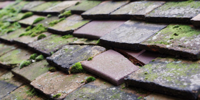 Buckholt roof repair costs